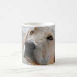 Man's Best Friend Coffee Mug<br><div class="desc">Yellow lab pup on the beach.</div>