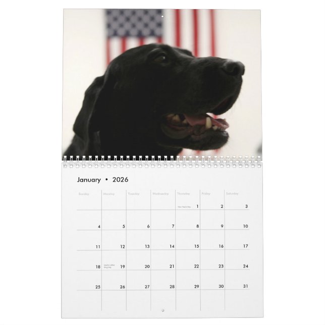 Man's Best Friend Photography & Art Calendar (Jan 2026)