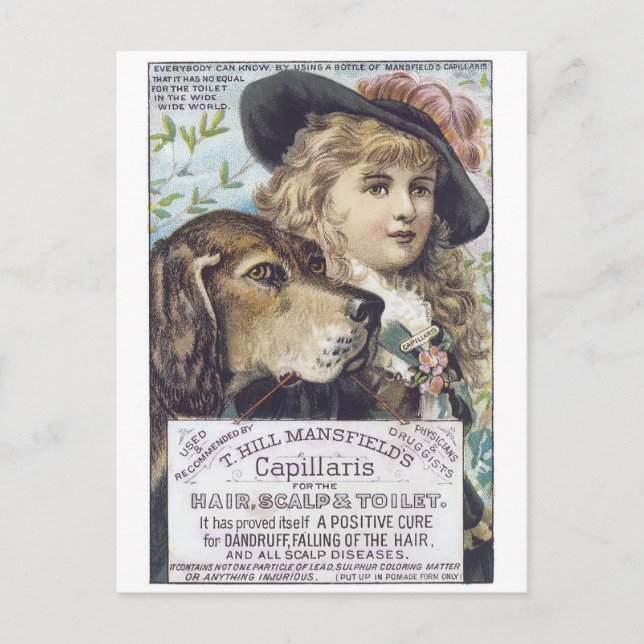 Mansfields Capallaris Postcard (Front)