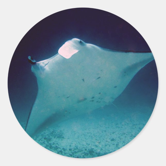 Manta Classic Round Sticker (Front)