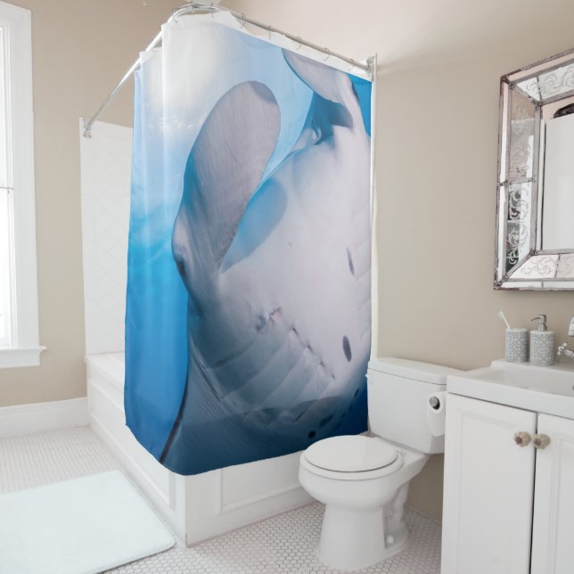 Manta Mania : Cute Manta ray in sunshine Shower Curtain (In Situ)