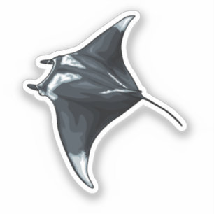 Manta ray