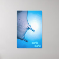 Manta ray