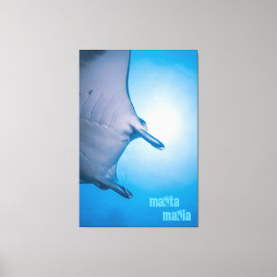 Manta ray canvas print