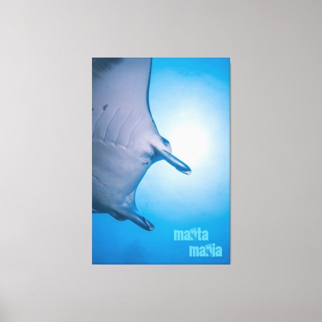 Manta ray canvas print (Front)