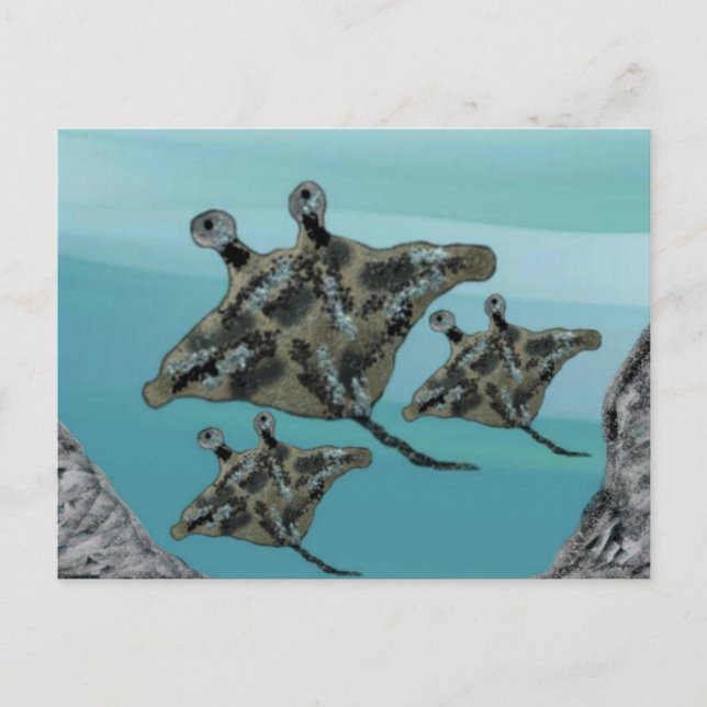 Manta Ray Family Postcard (Front)