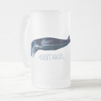 Manta Ray