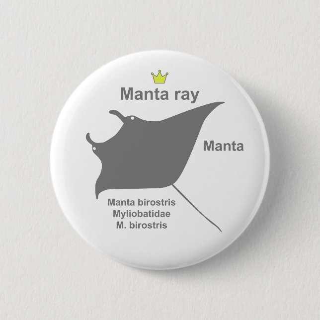 Manta ray g5 6 cm round badge (Front)