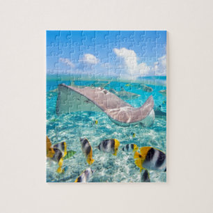 Manta Ray Jigsaw Puzzle