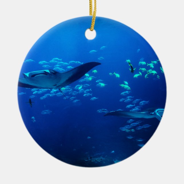 Manta Rays Ceramic Tree Decoration (Front)