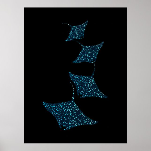 Manta Rays Poster (Front)