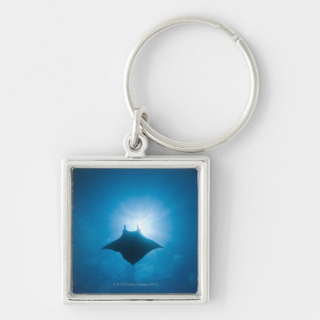 Manta swimming underwater key ring (Front)