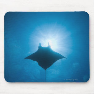 Manta swimming underwater mouse mat