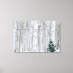 Manti-LaSal National Forest, Utah Canvas Print
