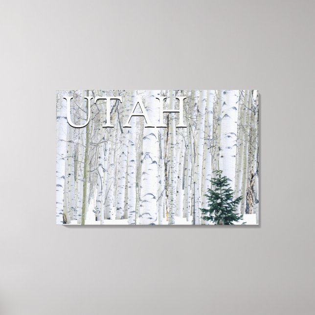 Manti-LaSal National Forest, Utah Canvas Print (Front)