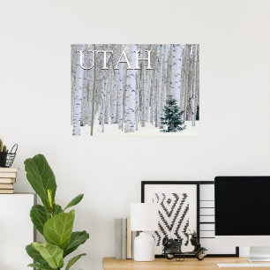 Manti-LaSal National Forest, Utah Poster