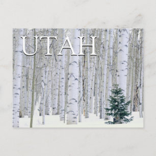 Manti-LaSal National Forest, Utah Thank You Postcard