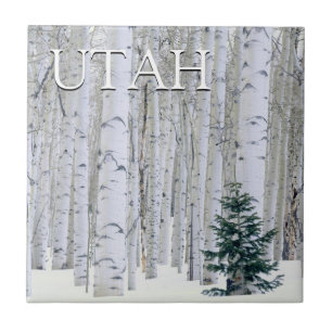 Manti-LaSal National Forest, Utah Tile