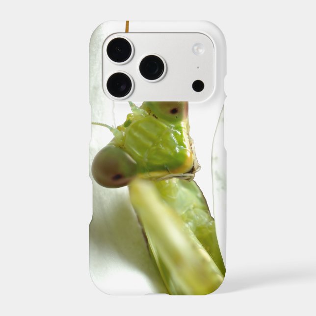 Mantid (Back)