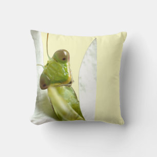 Mantid Cushion