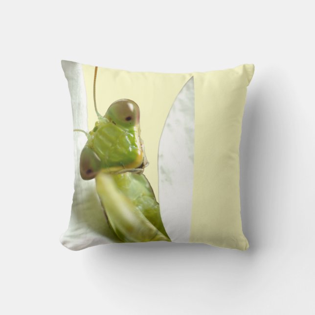 Mantid Cushion (Front)