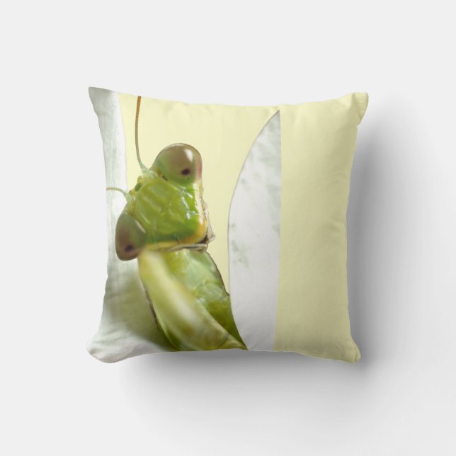Mantid Cushion (Front)
