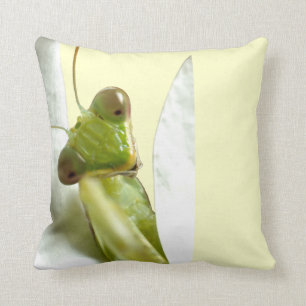 Mantid Cushion