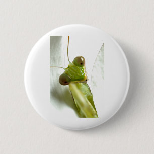 Mantids 6 Cm Round Badge