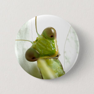 Mantids 6 Cm Round Badge