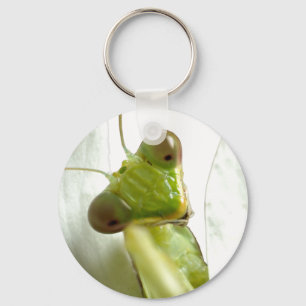 Mantids Key Ring