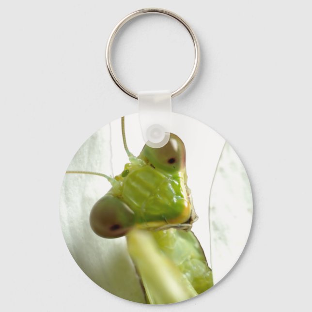 Mantids Key Ring (Front)