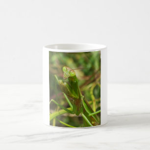 Mantis 8482 coffee mug