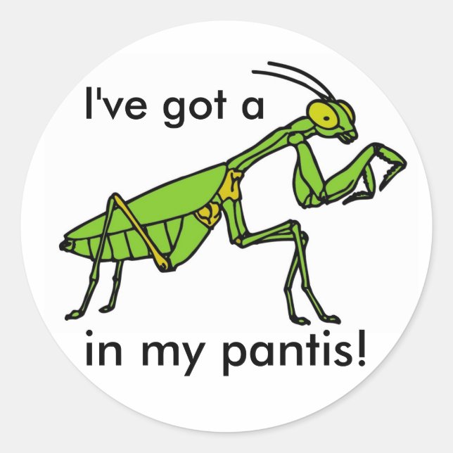 Mantis in my Pantis! Classic Round Sticker (Front)