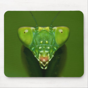 Mantis Mouse Mat