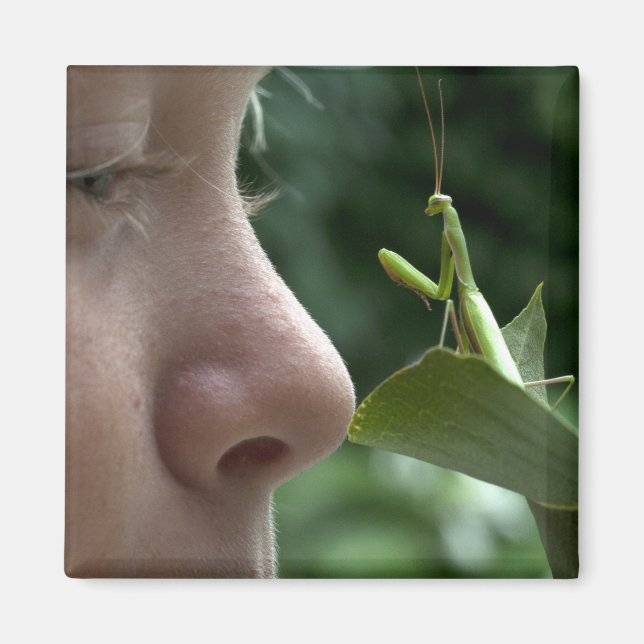 Mantis religiosa magnet (Front)