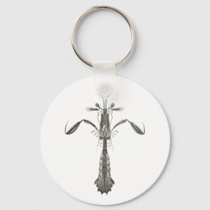 Mantis Shrimp Key Ring