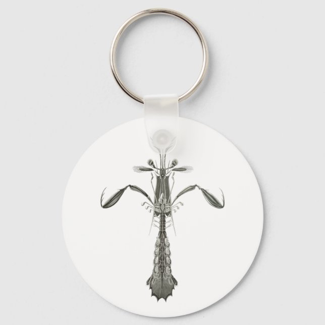 Mantis Shrimp Key Ring (Front)