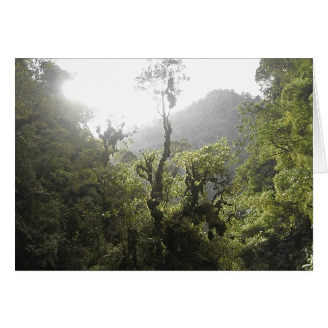 Manu National Park (Front Horizontal)