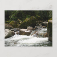 Manu National Park
