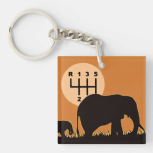 MANUAL - Endangered Key Ring