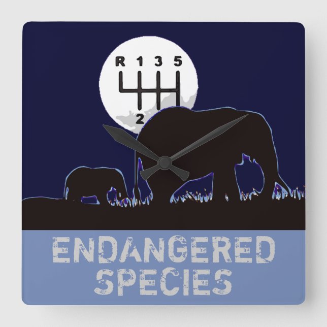 MANUAL - Endangered Square Wall Clock (Front)