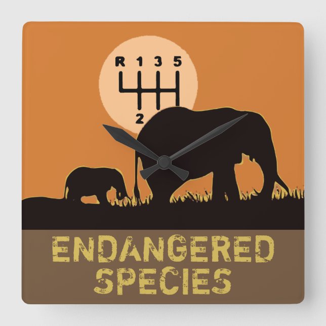 MANUAL - Endangered Square Wall Clock (Front)