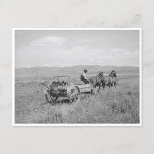Manure Spreader Postcard