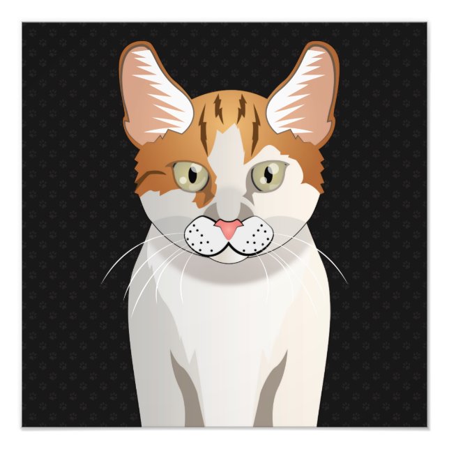 Manx Cat Cartoon Paws Photo Print (Front)