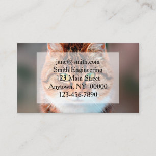 Manx Cat  Face Looking Business Card