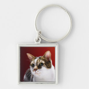 Manx cat key ring