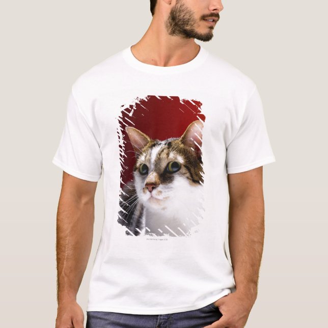 Manx cat T-Shirt (Front)