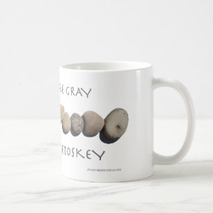 "Many Are Grey Few Are Petoskey" Ceramic Mug