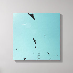 Many birds and a contrail canvas print
