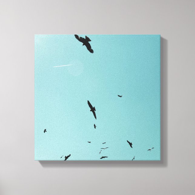 Many birds and a contrail canvas print (Front)